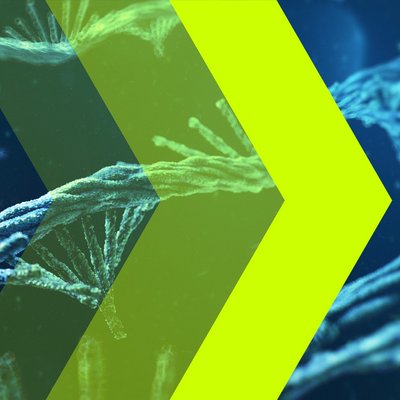 Drei gelbe Pfeile mit unterschiedlicher Transparenz vor blauen mRNA-Molekülen.