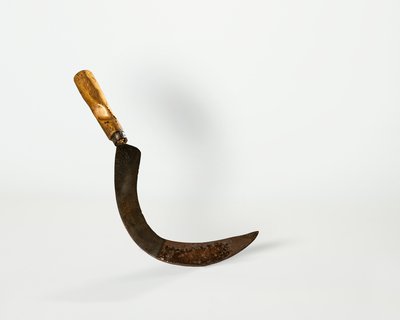 Diese Sichel zum Rübenköpfen hat die typisch gekrümmte Klingenform und einen Holzgriff.