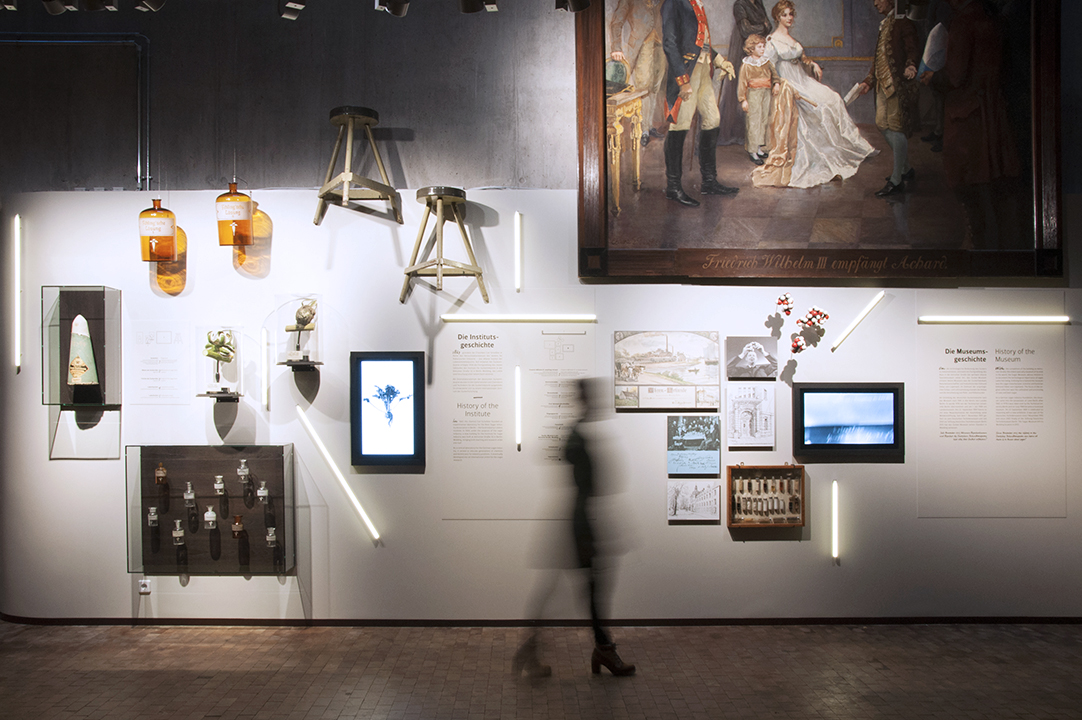 Objects, pictures, screens and texts are displayed on one wall: a large Sugarloaf Mountain, historical glass vessels, two wooden stools, an oil painting depicting several people, black-and-white photographs, molecular models and plastic replicas of plants.