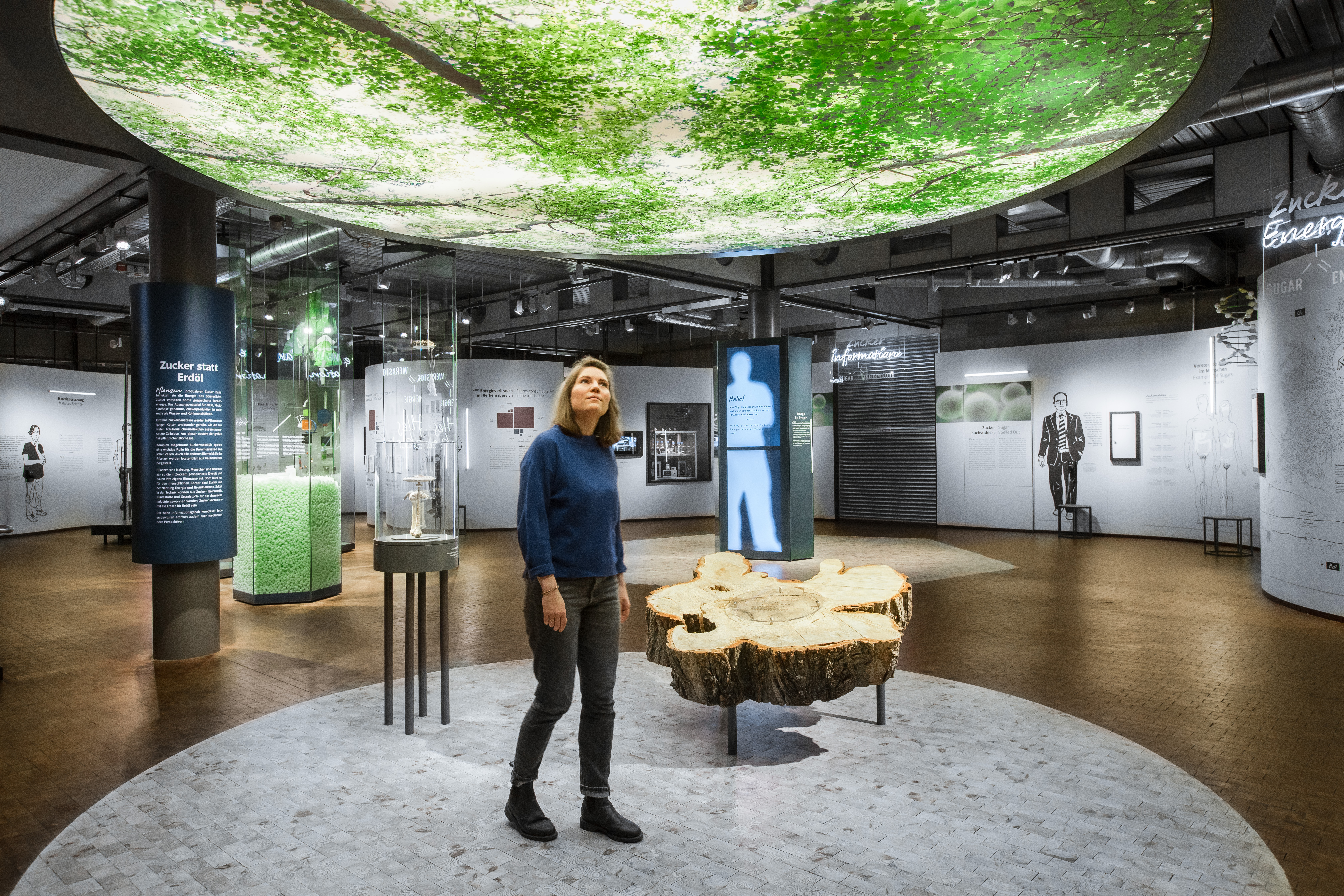 Eine junge Frau läuft durch den Ausstellungsbereich „Zucker sind überall“. An der Decke befindet sich ein großes hinterleuchtetes Foto. Darauf ist das grüne Blätterdach eines Waldes zu sehen. Am Fußboden befindet sich die Baumscheibe einer Pappel. 