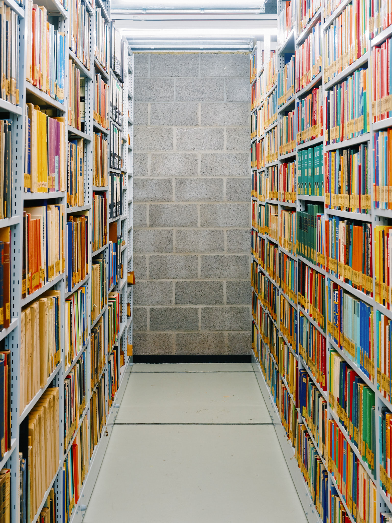 Blick in Regalreihen voller Bücher