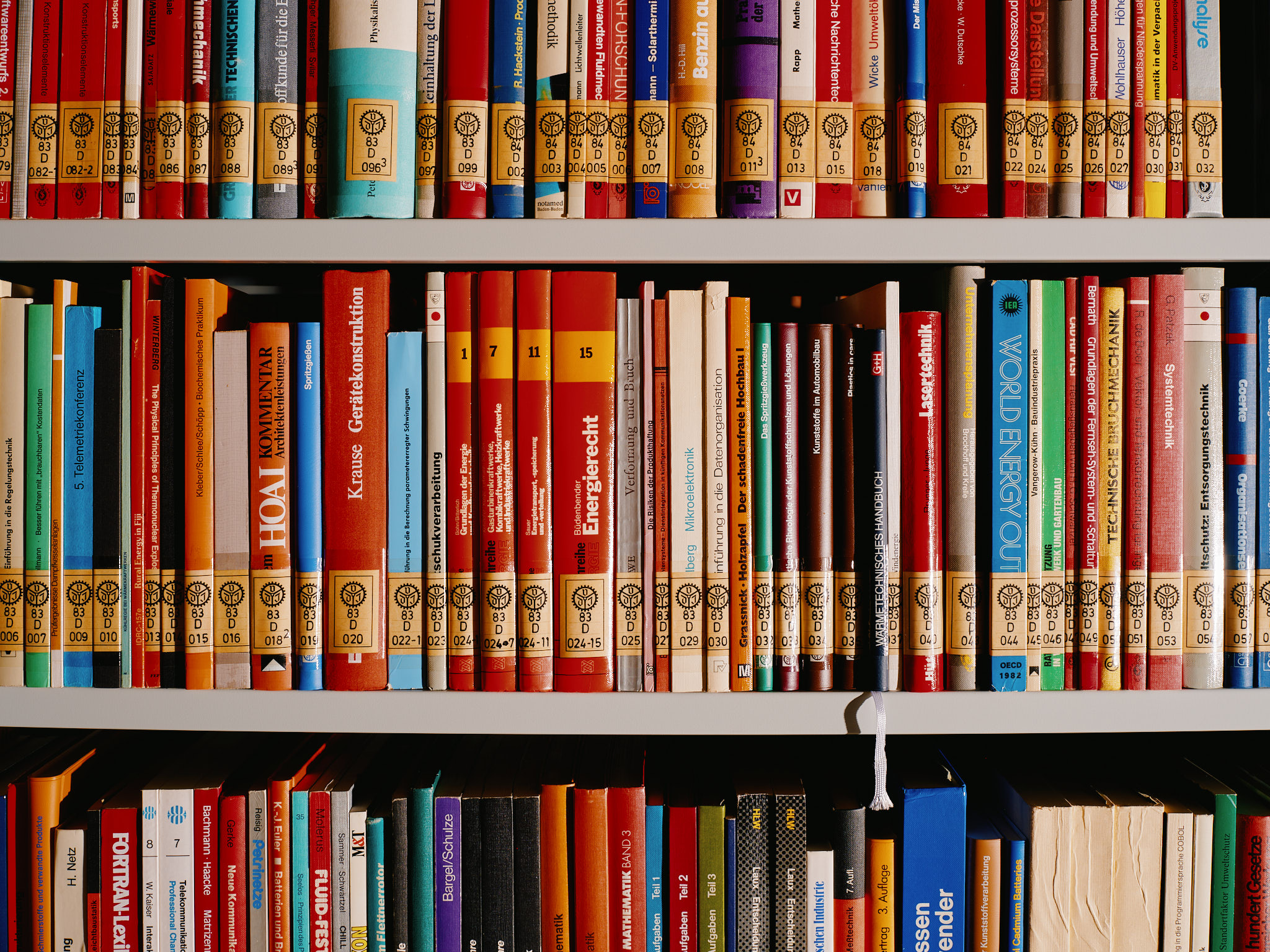 Blick auf ein Regal mit vielen bunten Buchrücken