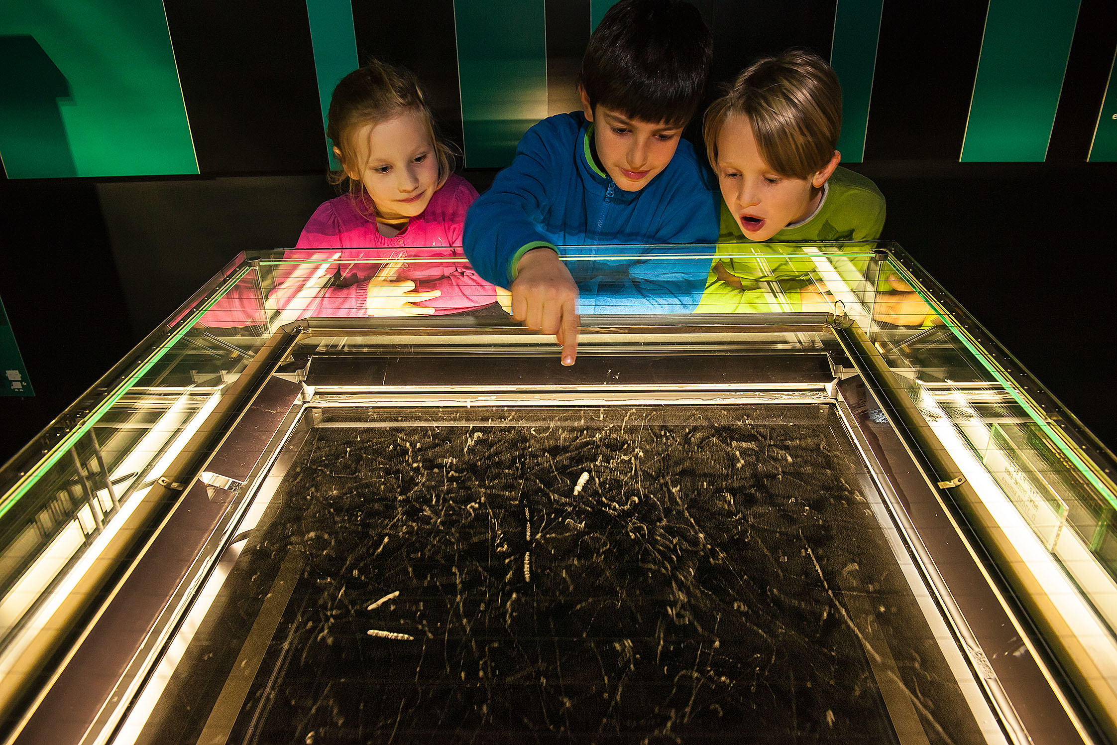 Unter einer am Rand beleuchteten Glasabdeckung befindet sich eine schwarze Fläche, über der viele verschiedene kleine weiße Streifen zu sehen sind. Drei Kinder schauen auf diese Streifen. Das Kind in der Mitte zeigt auf die Streifen.